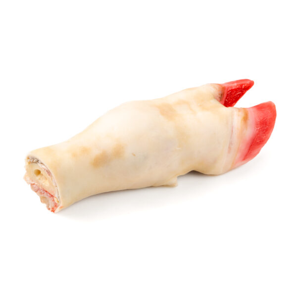 white cow feet